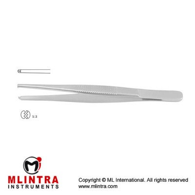 Standard Pattern Dissecting Forceps 1 x 2 Teeth Stainless Steel, 18 cm - 7" Standard Pattern Dissecting Forceps 1 x 2 Teeth Stainless Steel, 18 cm - 7"